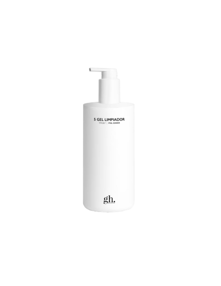 GH 5 GEL LIMPIADOR 400 ML